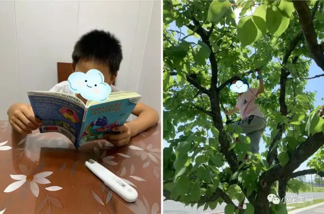 哪里能找到关于智能球衣在篮球训练中应用的信息_2